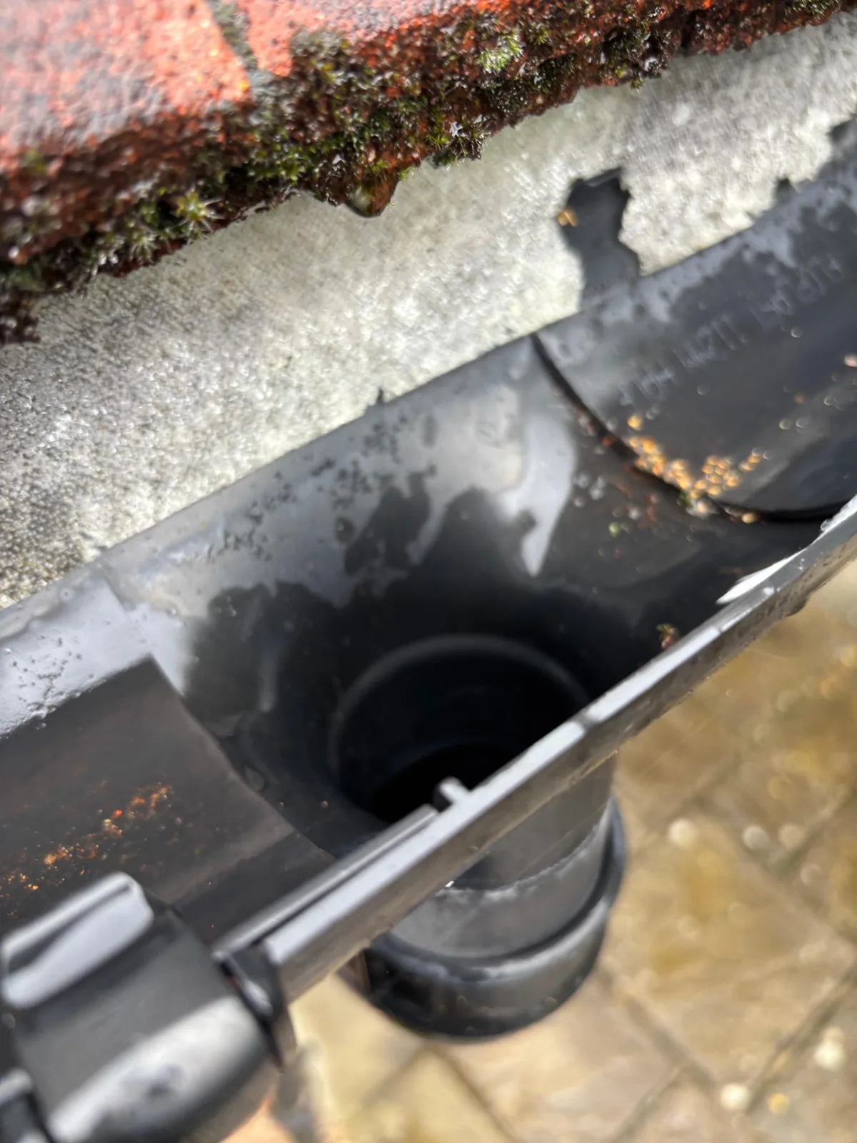 Clean Gutters