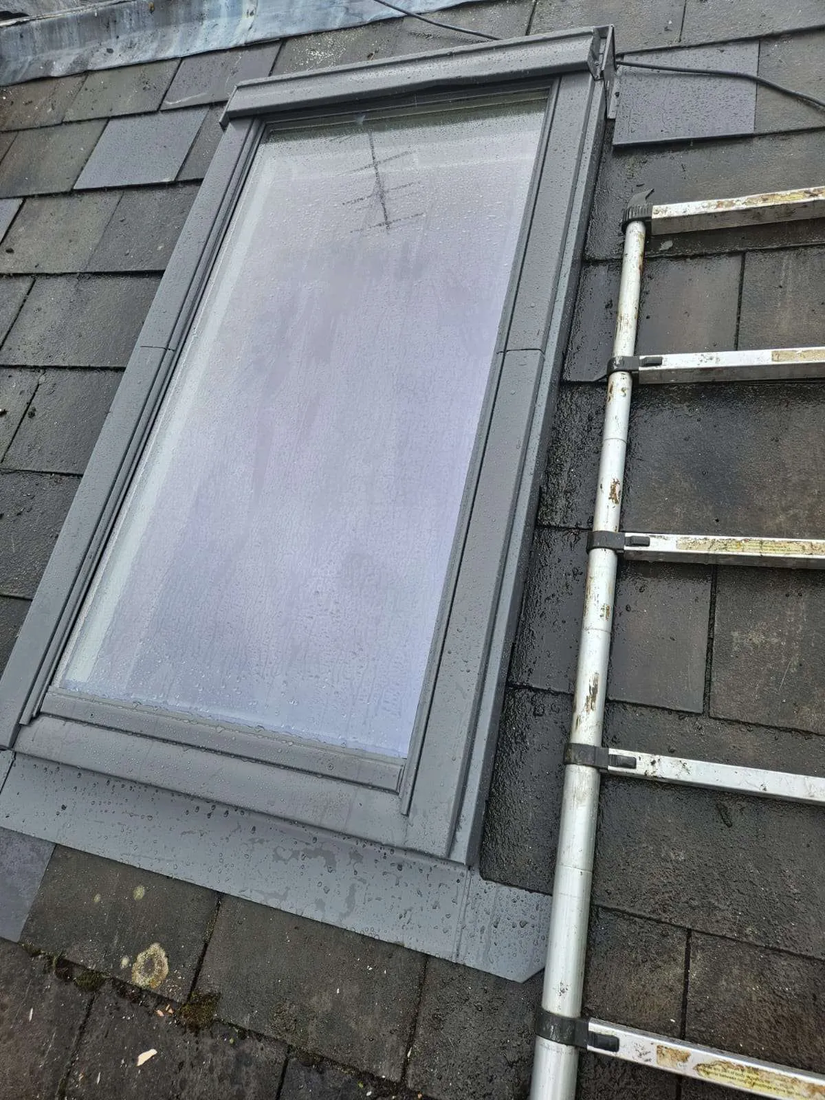 Roof Window Replacement